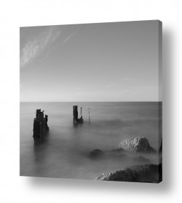 בתי מלון בית מלון שחור לבן | שלווה