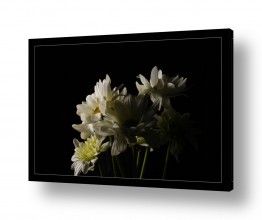 תמונות למטבח תמונות למטבח איקאה | מתוך החשכה