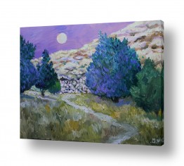 חלל ואסטרונומיה הירח | ירח מלא בערב קיץ