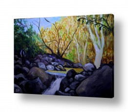 מים זרימה | נחל עמוד