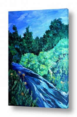 מים זרימה | נחל דן