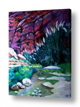 מים זרימה | נחל פרת