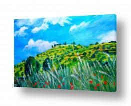 פרחים פרגים | מורדות הגולן