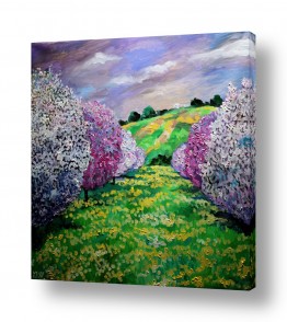 שמים עננים | פריחת השקד