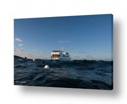 צילומים צילום אוויר | ספינה בלב ים