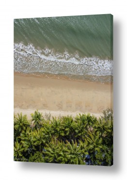 נוף חופים | Palm Beach
