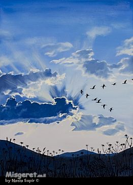 מעוף אל האור