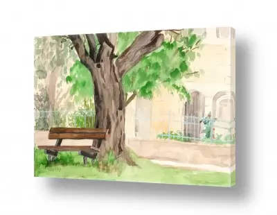 טבע דומם חלונות | מקום לנוח