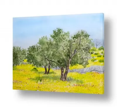 פרחים לפי צבעים פרחים צהובים | אביב במטע הזיתים