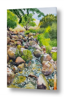 נריה ספיר נריה ספיר - ציור ריאליסטי - מים | זרימה בינות לסלעים