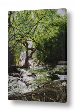 נריה ספיר נריה ספיר - ציור ריאליסטי - מים | פינת טבע