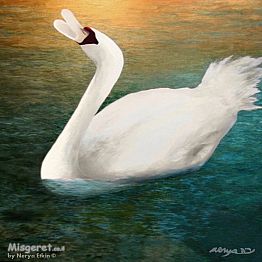 שירת הברבור