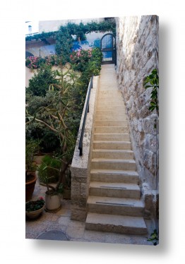 טבע דומם שער | מדרגות לגן עדן