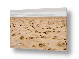 ניר אלון ניר אלון - צלם דוקומנטרי | צלם רפרודוקציות - סלעים | חול ואבנים
