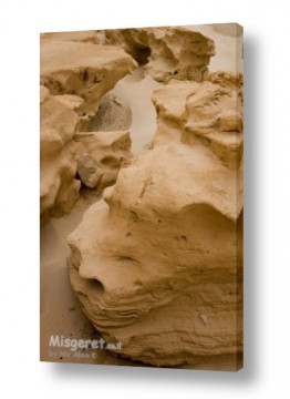 ניר אלון ניר אלון - צלם דוקומנטרי | צלם רפרודוקציות - סלע | סלעי כורכר