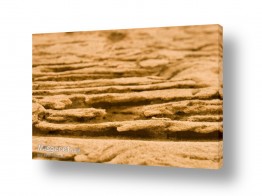 נוף חול | מדרגות חול