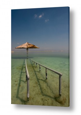 צילומים ניר אלון | ים המלח