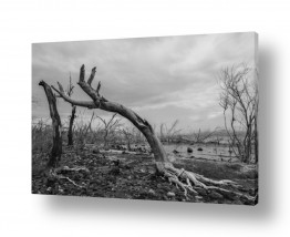 עונות השנה חורף | טבע דומם