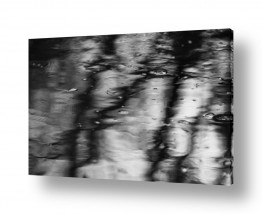 ניר אלון הגלרייה שלי | גשם