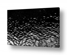 ניר אלון הגלרייה שלי | Fade Out