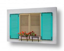 ניר אלון הגלרייה שלי | חלון ופרח