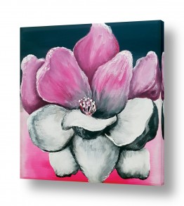 פרחים לפי צבעים פרחים ורודים | Half Black and Pink