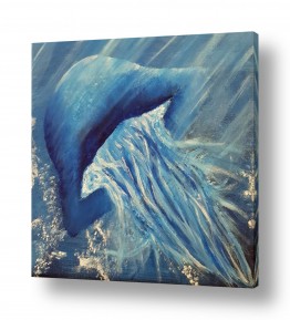 ציורים ציורים מים וים | Jellyfish