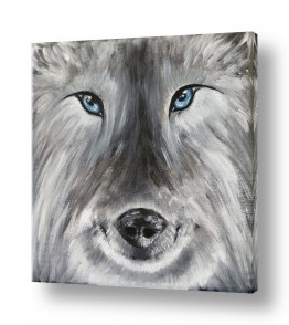 ציורים ציורים של בעלי חיים | Wolf