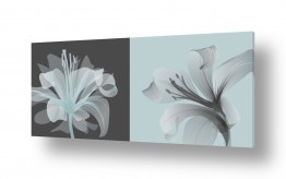 נעמי עיצובים נעמי עיצובים - עיצוב תמונות אוירה באמנות דיגיטלית - סתיו | פרחים שקופים