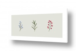 ציורים נעמי עיצובים | שלישיית צמחים עדין