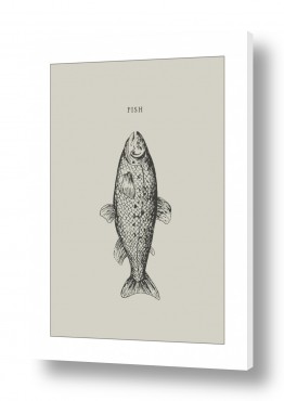 ציורים ציורים של בעלי חיים | דג