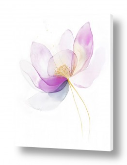 נושאים תמונות טבע | פרח קסום