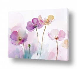 פרחים נוריות | פרחי אביב