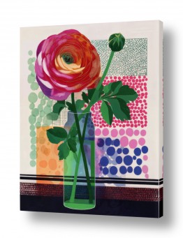 פרחים נוריות | נורית גאומטרית 2