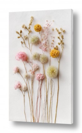 תמונות למטבח תמונות למטבח קלאסי | אוסף פרחים מיובשים