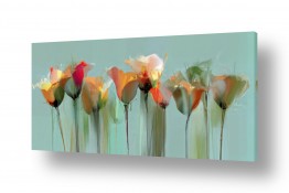 פרחים ערוגת פרחים | ערוגת טוליפ