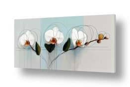 תמונות למטבח תמונות למטבח קלאסי | סחלבים משורטטים