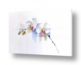 תמונות למטבח תמונות למטבח קלאסי | סחלב משורטט