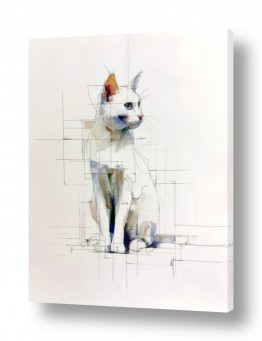 תמונות לחדר אמבטיה עיצוב חדרי אמבטיה | חתול בקווים