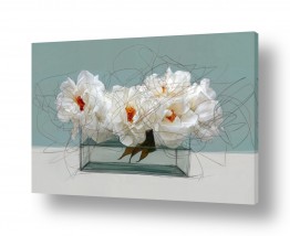 נעמי עיצובים הגלרייה שלי | שושנים לבנות