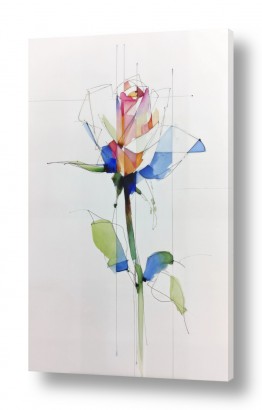 חדרים תמונות לחדר אמבטיה | שושנה