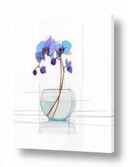 נעמי עיצובים הגלרייה שלי | סחלבים בכלי זכוכית