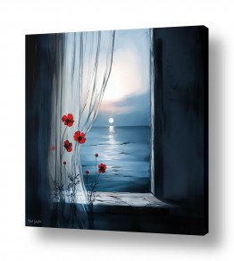 פרחים כלניות | יום חדש מתחיל