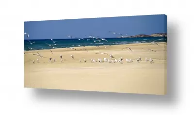 תמונות לחדר שינה תמונות לחדר שינה מודרני | חופש בחירה