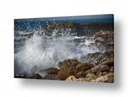 אורלי גור אורלי גור - צילום טבע וצילום מזון - חוף | גלים מתנפצים