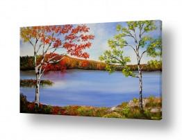 ציורים אוסנת צדוק | מחוץ לחלוני