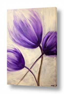 עונות השנה אביב | פריחה