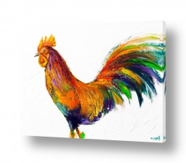 עופות תרנגולים | הנה מגיע התרנגול