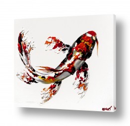 בעלי חיים - חיות חיות מים | Koi Fish