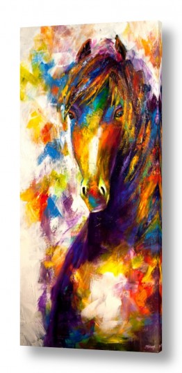 יונקים סוסים | Born To Be Wild